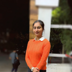 Satpal Kaur-Freelancer in Pimpri Chinchwad,India