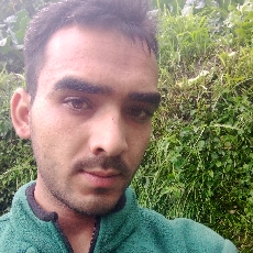 Lakhan Kumar-Freelancer in Mandi,India