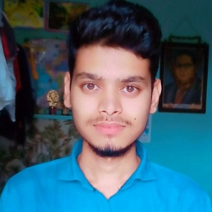 Deepak Bharti-Freelancer in Mirzapur,India