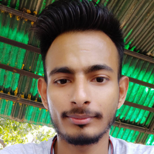 Zafar Sadique-Freelancer in Hailakandi,India