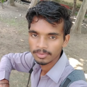 Sukhbir Bharti-Freelancer in Lucknow,India