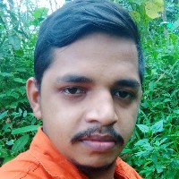 Swathish-Freelancer in manimala,India