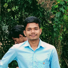 Sankar Kumar Sahu-Freelancer in Bhubaneswar,India