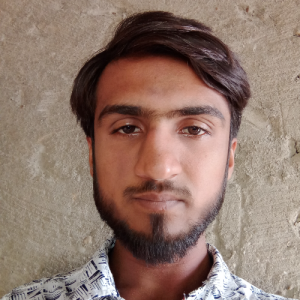 Saleem Raza-Freelancer in Larkana,Pakistan