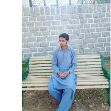 Abdullah Altaf-Freelancer in Gujar khan,Pakistan