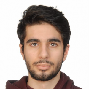 Amir Reza-Freelancer in Istanbul,Turkey