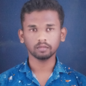 BHARATHIRAJA P-Freelancer in KARUR,India