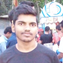 Tushar Saha-Freelancer in Siliguri,India