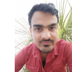 Vikas Kumar Gond-Freelancer in Lucknow,India