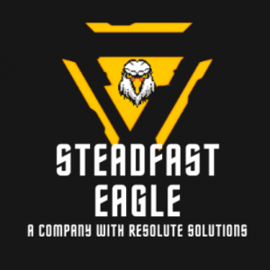 Steadfast Eagle-Freelancer in New Delhi,India