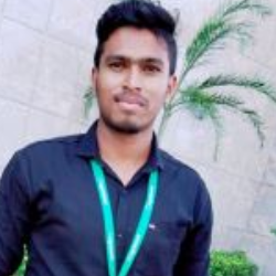 Mohamed Jeavedeen-Freelancer in Chennai,India