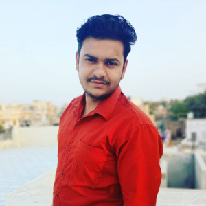 Niranjan Pareek-Freelancer in Sujangarh,India