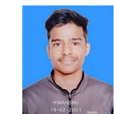 Himanshu-Freelancer in New delhi,India