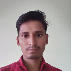 Prabha Shankar-Freelancer in Lucknow,India