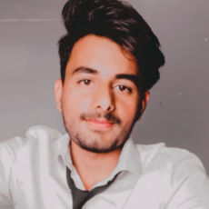 Sourav Singh-Freelancer in Gurgram,India