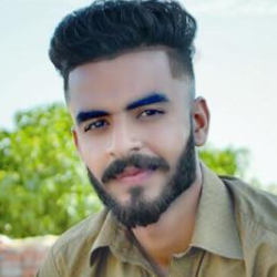 Mohsin Ali-Freelancer in Jhelum,Pakistan