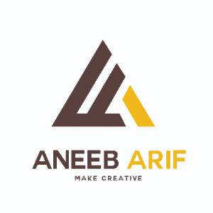 Aneeb Aryf-Freelancer in Bahawalpur,Pakistan