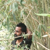 Sharoon Dl-Freelancer in Thiruvananthapuram,India