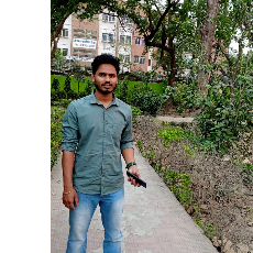 Vivek Kumar-Freelancer in Patna,India