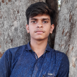 Sahil Girhepunje-Freelancer in Bori,India