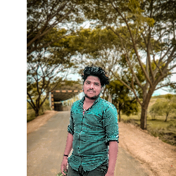 Saranraj-Freelancer in Virudhachalam,India