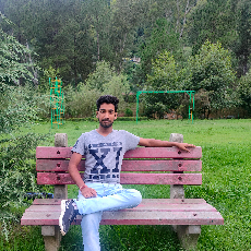 Yash Gupta-Freelancer in Shimla,India