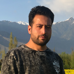 Adil Majid-Freelancer in Srinagar,India
