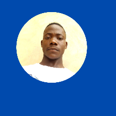Aidou Eudes Togan-Freelancer in Bohicon,Benin