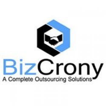 Biz Crony-Freelancer in Jaipur,India