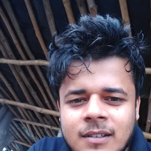 Ashutosh Kumar-Freelancer in Bengaluru,India