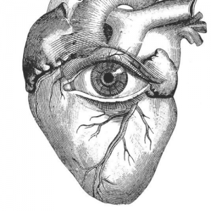 Régis Le Banz-Freelancer in ,Congo