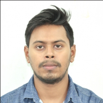 Raj Sarkar-Freelancer in ,India