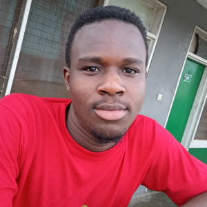 Godwin Cornelius-Freelancer in Kumasi,Ghana