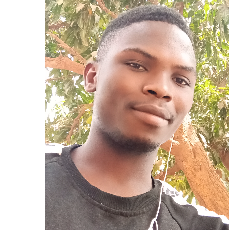 Toanda Iliasse-Freelancer in Ouagadougou,Burkina Faso