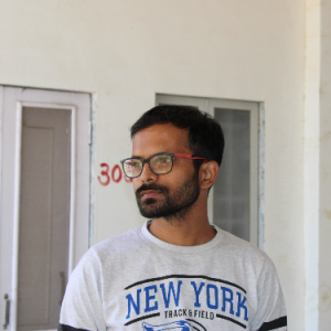Trishpta 3721-Freelancer in ,India