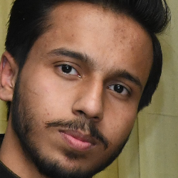 Ubaid Hussain Qureshi-Freelancer in Lahore,Pakistan