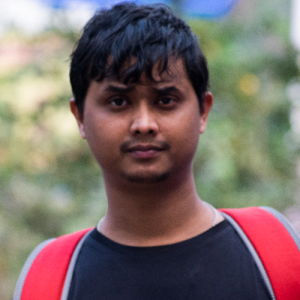 Raizul Hussain-Freelancer in Guwahati,India