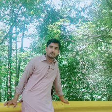 Ch Ikram Saddique-Freelancer in Bahawalnagar,Pakistan