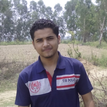 Sachin Pant-Freelancer in Ambala,India