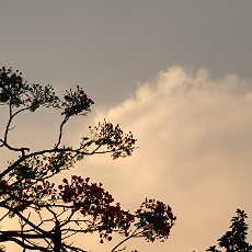 Not Available-Freelancer in Jhalokati District,Bangladesh