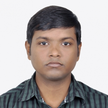 N Suraj Kumar Choudhury-Freelancer in Bhubaneswar,India