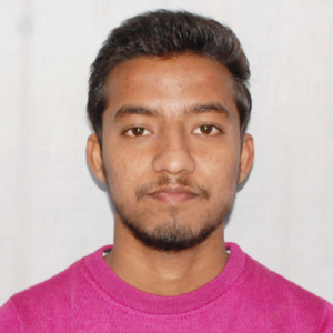 Harshit Kumar-Freelancer in Chandausi,India