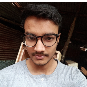 Mohd Shoaib Hussain-Freelancer in Delhi,India