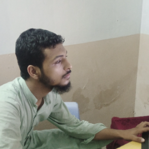Harris Abdul Malik-Freelancer in gujranwala,Pakistan