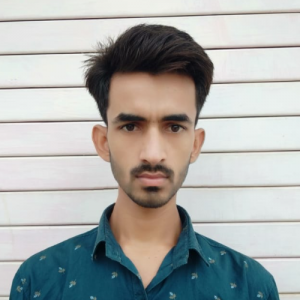 Hemant Kumar Jangid-Freelancer in Jaipur,India