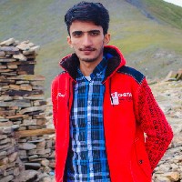 Hafiz Sami-Freelancer in Shahpur city,Pakistan