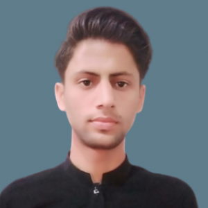 Muhammad Ali Hassan-Freelancer in kamalia,Pakistan