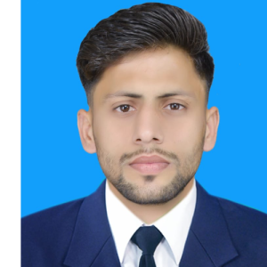 Muhammad Ali Hassan-Freelancer in Kamalia,Pakistan