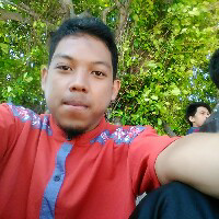 Amiruddin Amiruddin-Freelancer in ,Indonesia