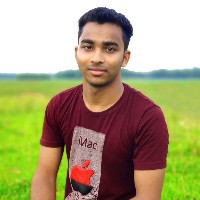 Ashish Sarker-Freelancer in Brahmanbaria District,Bangladesh